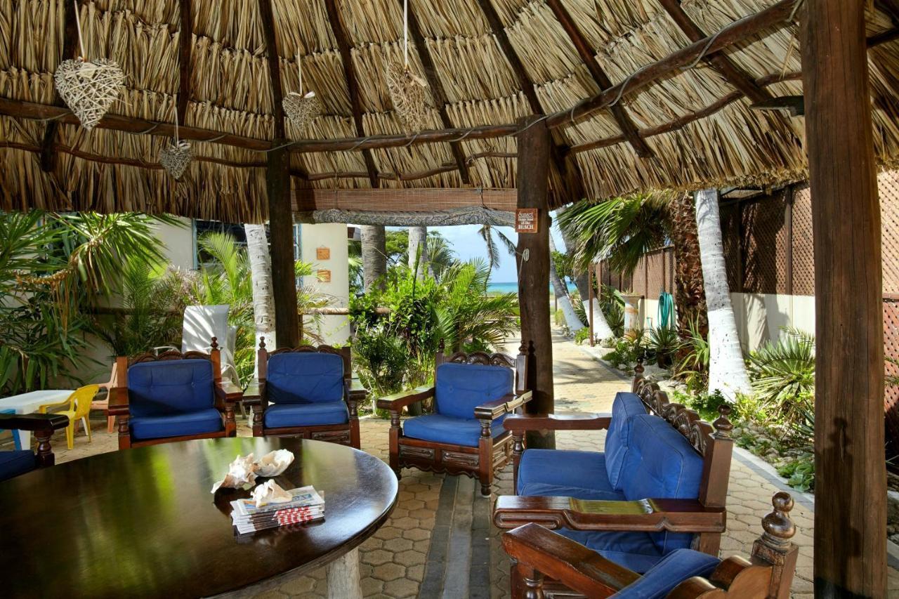 Aruba Sunset Beach Studios Palm Beach Exterior foto